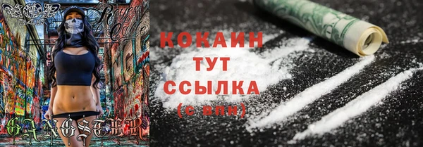 mix Белокуриха