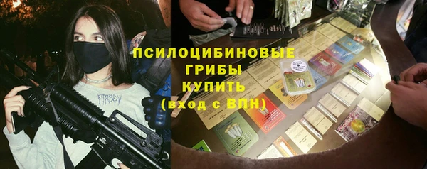 mix Белокуриха